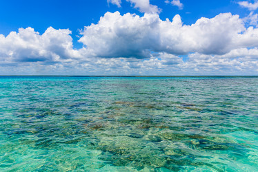 Similar image 19968379