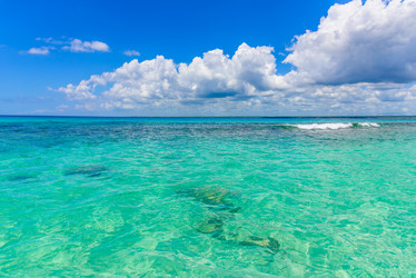 Similar image 19968388