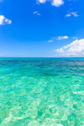 Similar image 19968392