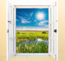 Similar image 19968521