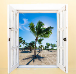 Similar image 19968551