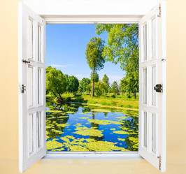 Similar image 19968553