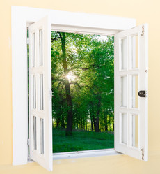 Similar image 19968559