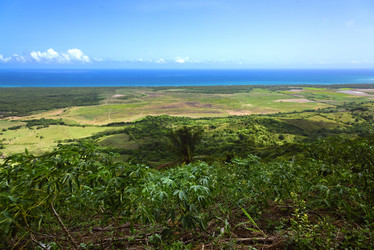 Similar image 19968617