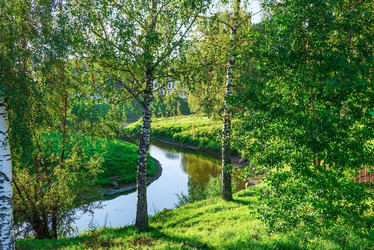 Similar image 19968663