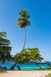 Similar image 19968665