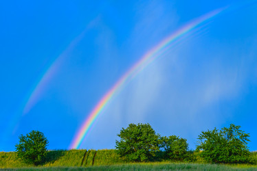 Similar image 19968688