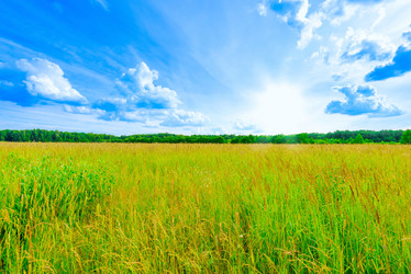 Similar image 19968690