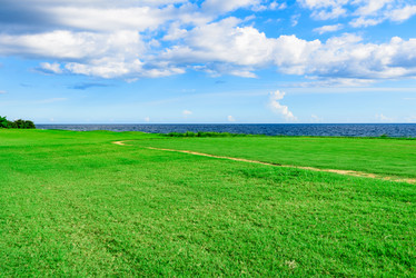 Similar image 19968698