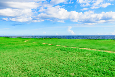 Similar image 19968701