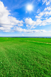 Similar image 19968706