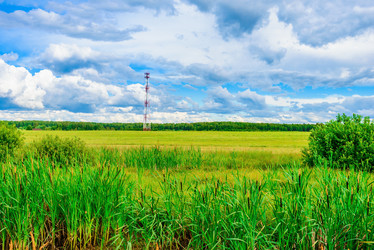 Similar image 19968711