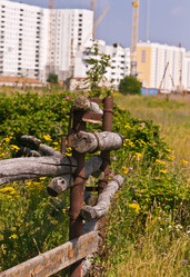 Similar image 19968715