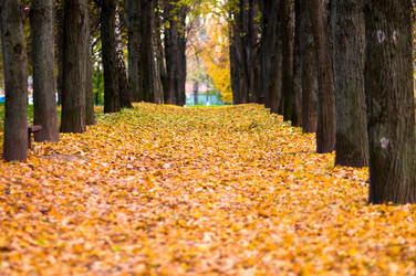 Similar image 19968717