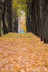 Similar image 19968721