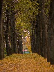 Similar image 19968723