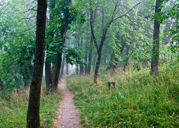 Similar image 19968725