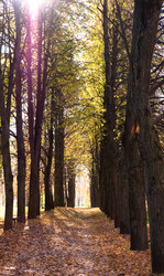 Similar image 19968730