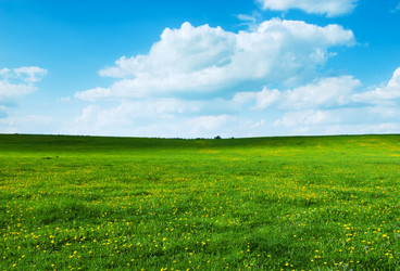 Similar image 19968735