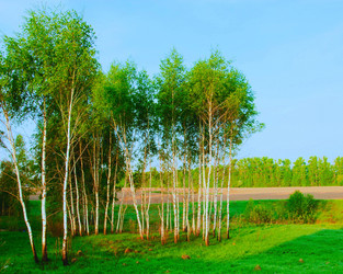 Similar image 19968737