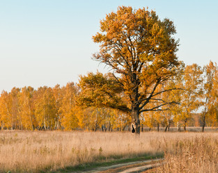 Similar image 19968743