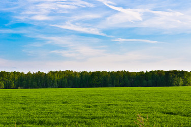 Similar image 19968751