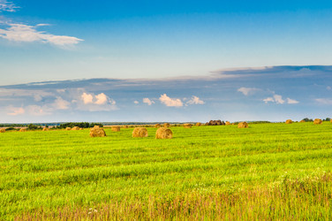 Similar image 19968760