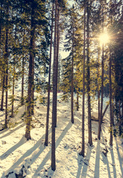 Similar image 19968769