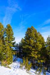 Similar image 19968797