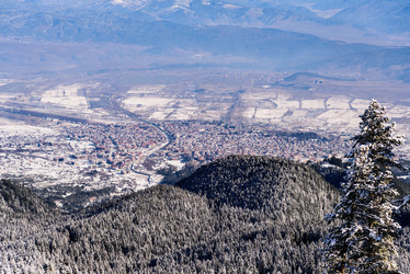 Similar image 19968859