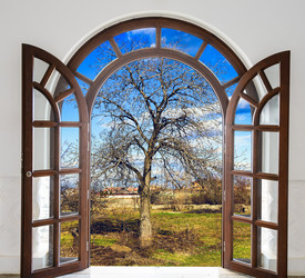 Similar image 19968929