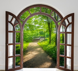 Similar image 19968974