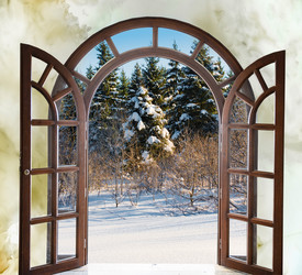 Similar image 19969022