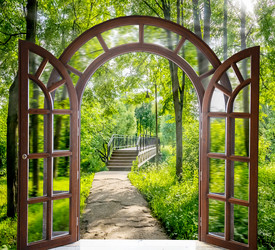 Similar image 19969042