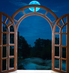 Similar image 19969205