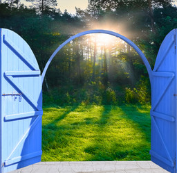 Similar image 19969258