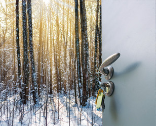 Similar image 19969280