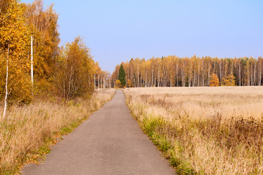 Similar image 19969299