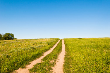 Similar image 19969314