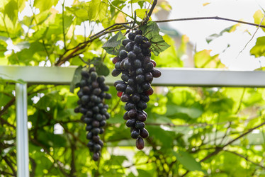 Similar image 19969352