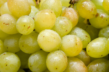 Similar image 19969455