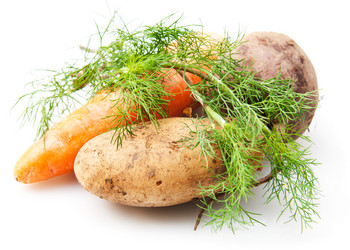 Similar image 19969529