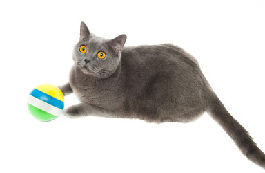 Similar image 19969655