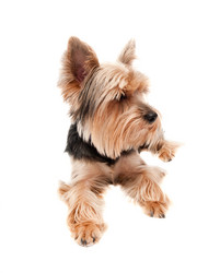 Similar image 19969658