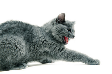 Similar image 19969669