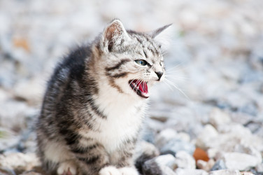 Similar image 19969676