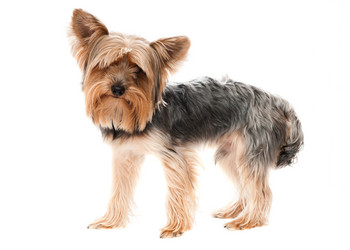 Similar image 19969678