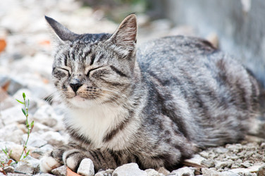 Similar image 19969681