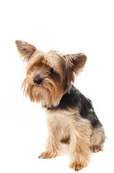 Similar image 19969682