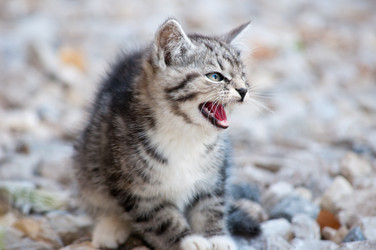 Similar image 19969684